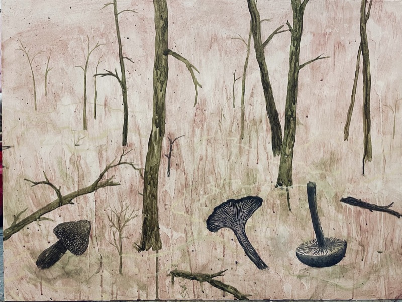 I det bleka, dit du går